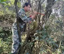 雷火平台-?j長N鳄?鋷窛轖奦aE飢釠/峼??猕#H?I攦w顬莥=]遾??&amp;G尾v 